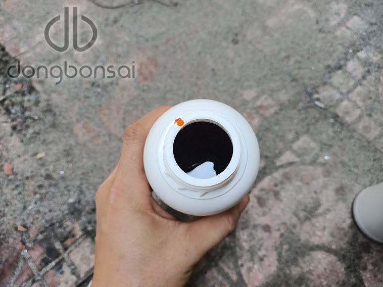 Bôi lũa bonsai màu trắng 500ml