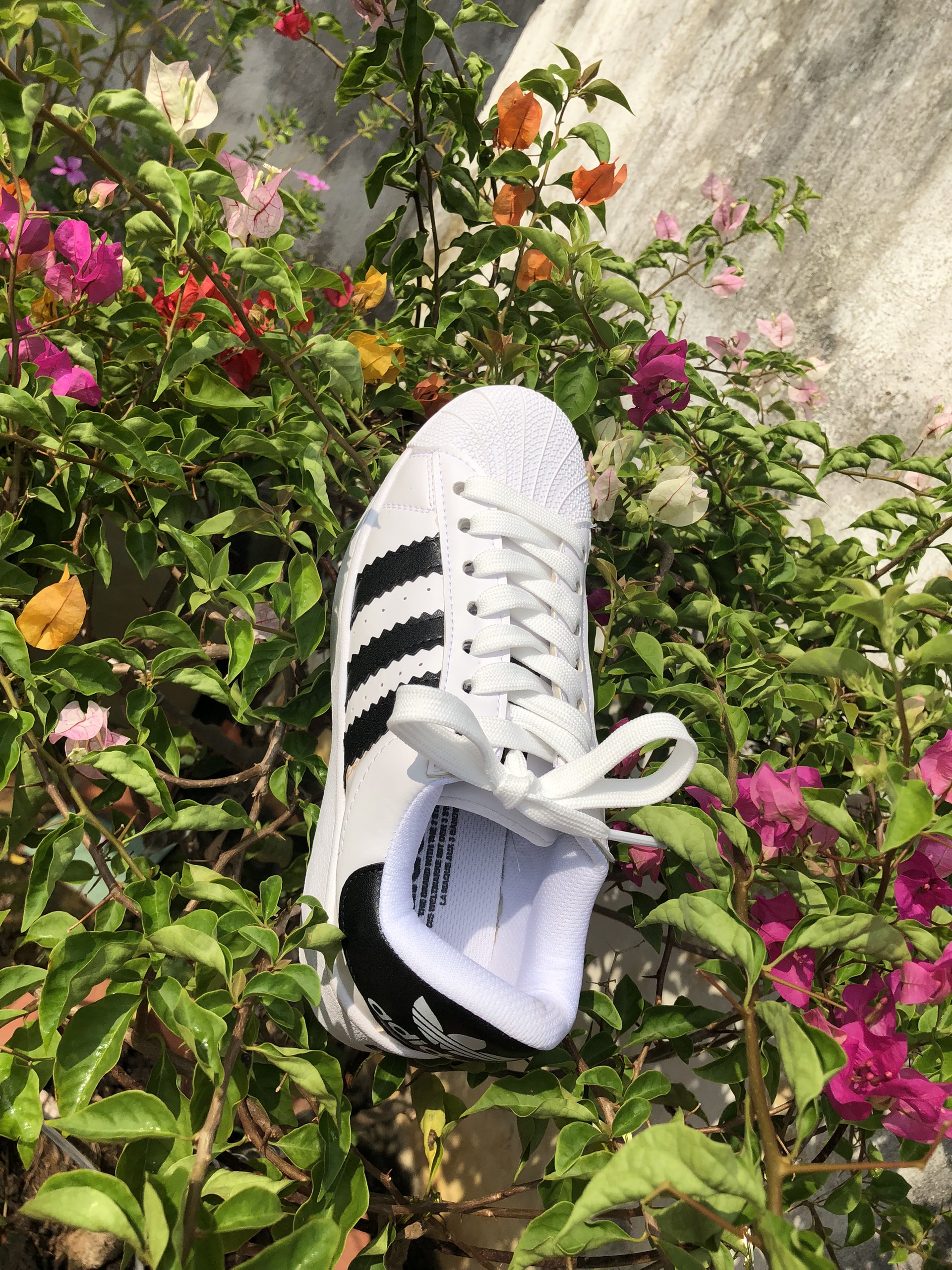 Giày Thể Thao Nam Nữ Adidas Original C77124
