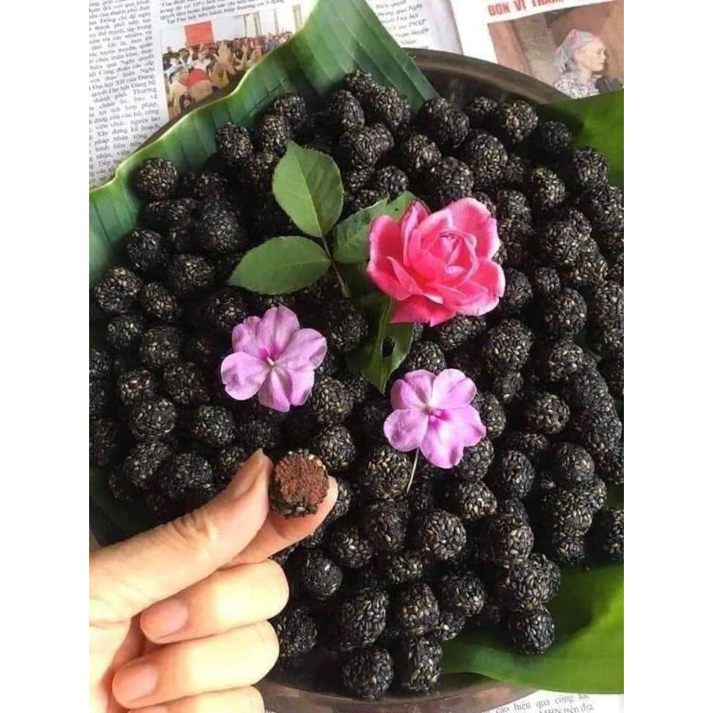 Hà thủ ô viên mật ong