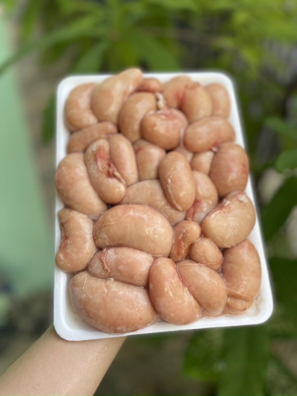 Ngọc kê gà Tây 1kg (giao tphcm)