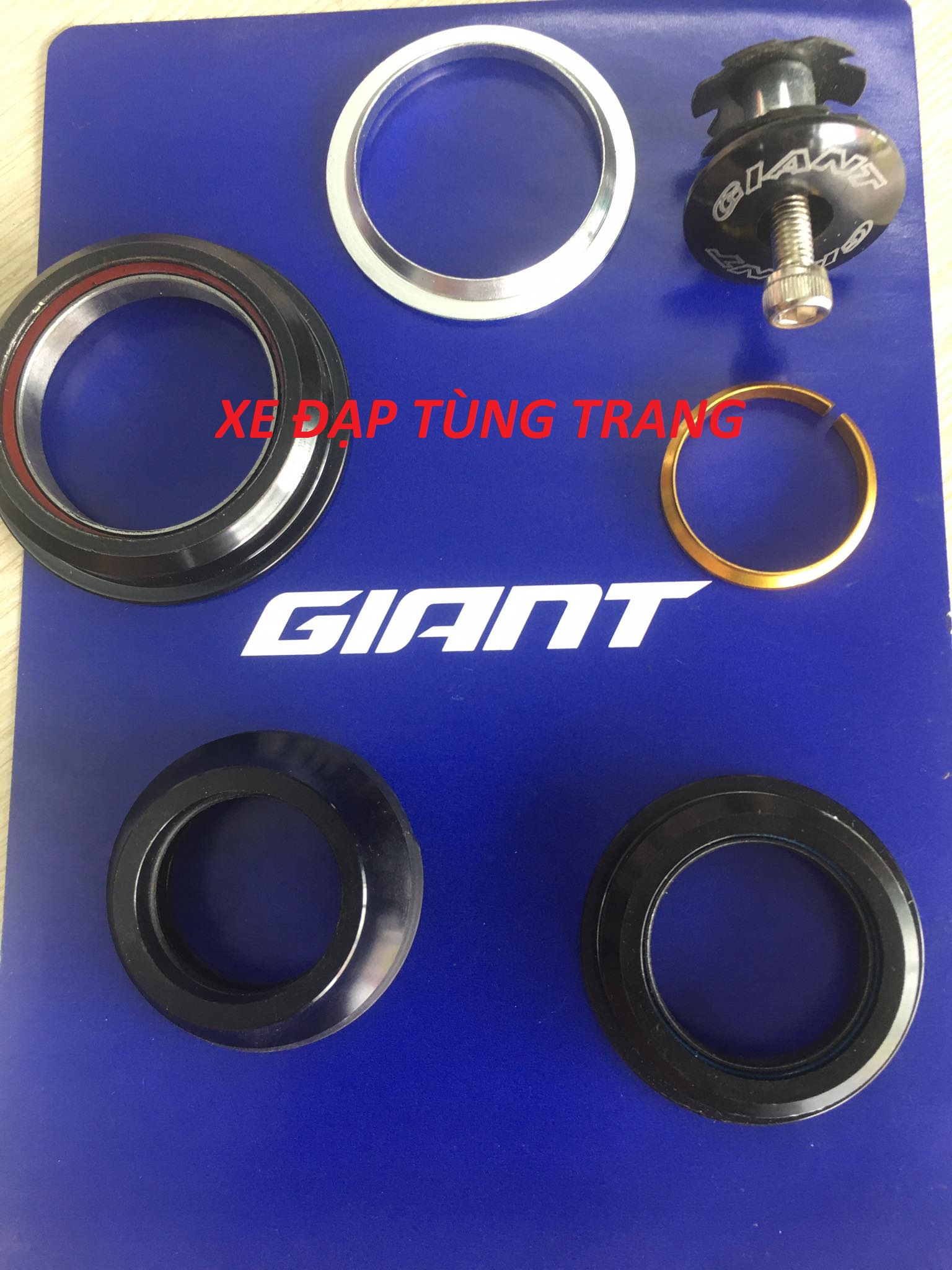Bát chén xe đạp cổ thả Bạc Đạn GIANT 44mm/55mm .