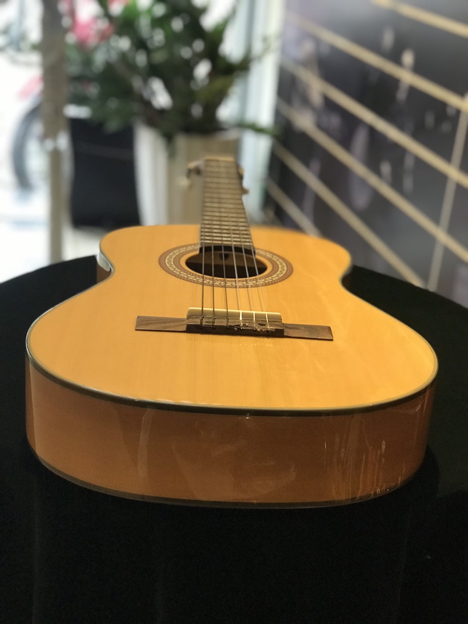 Đàn Guitar classic  3/4 REX HGW056 - Phân phối Sol.G