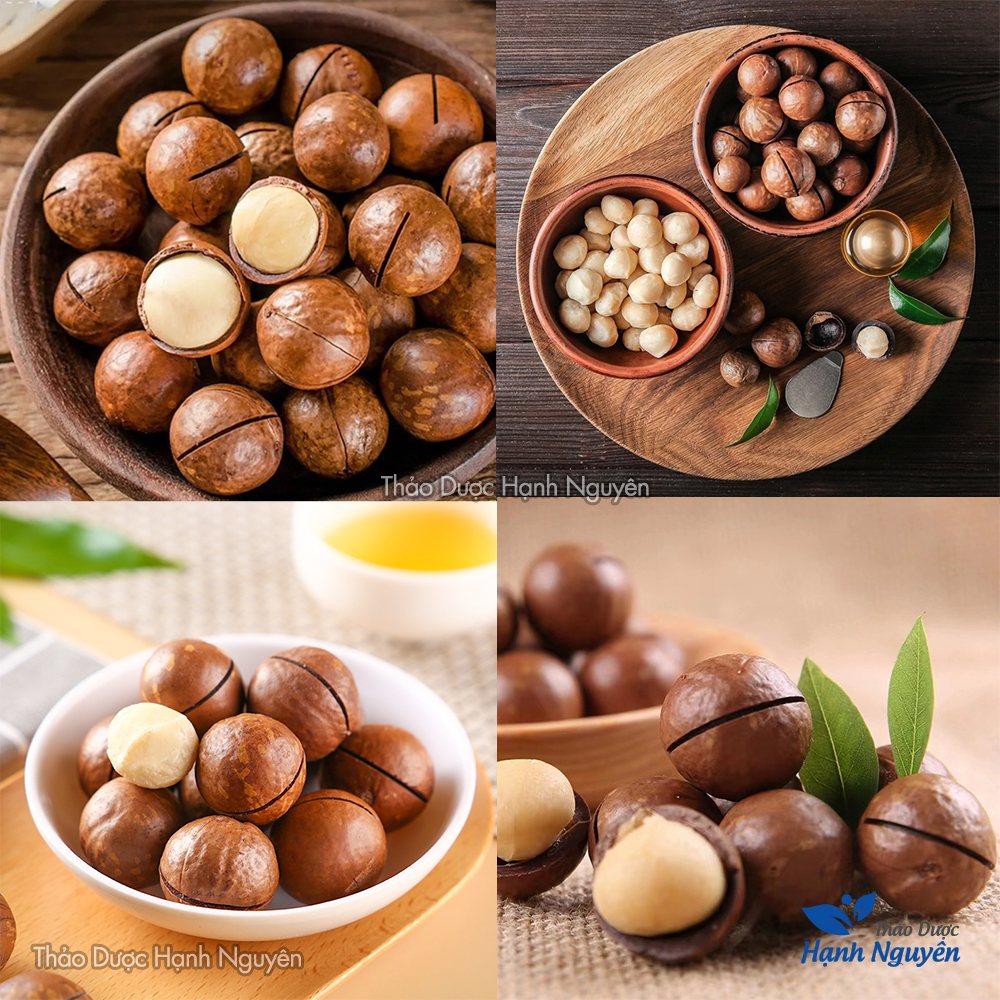Hạt mắc ca 500g ( Hạt dinh dưỡng thơm ngon, dùng ăn vặt, làm sữa hạt) - Thảo Dược Hạnh Nguyên