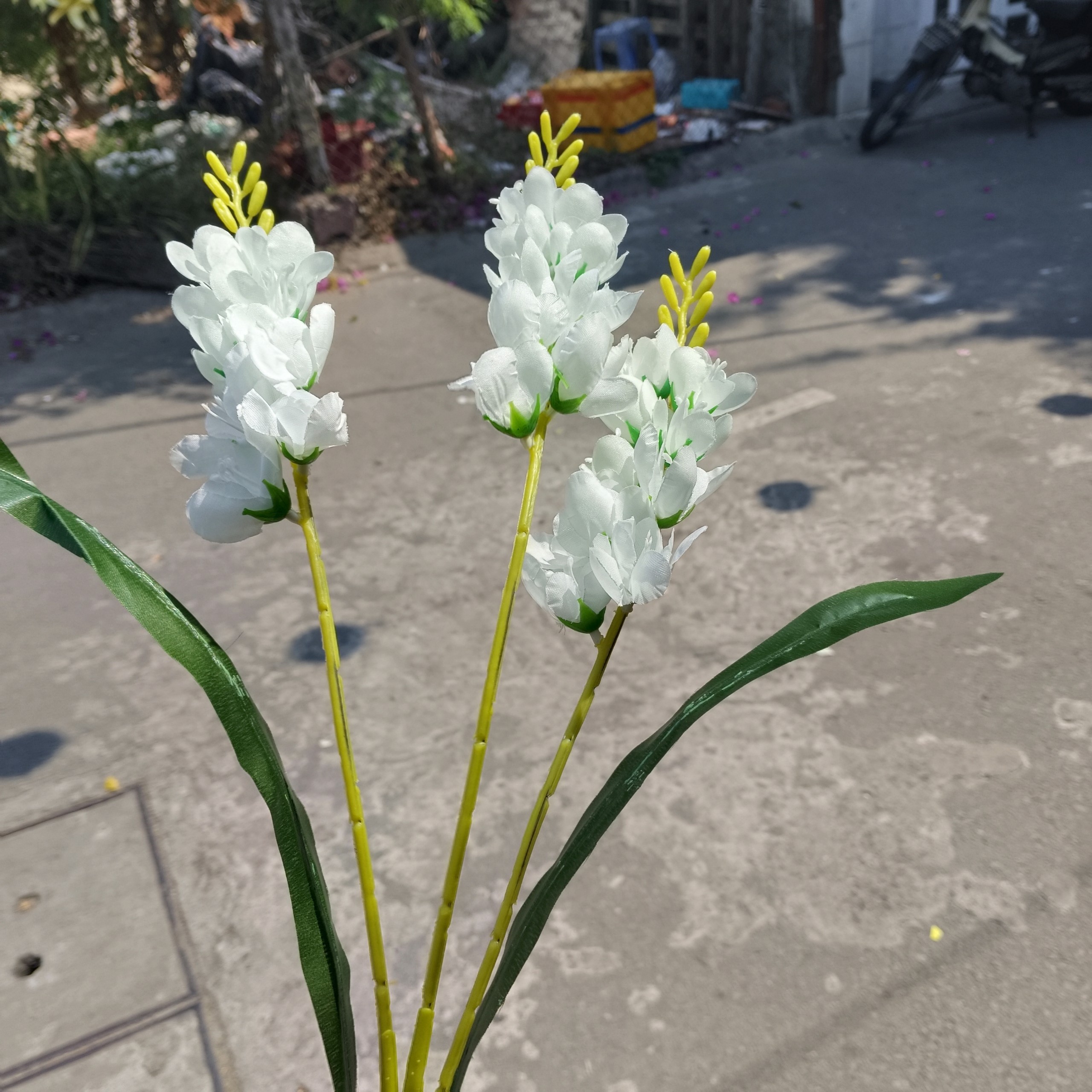 cành hoa lan phi yến giả - hoa lụa cao cấp - thanh lý sập sàn
