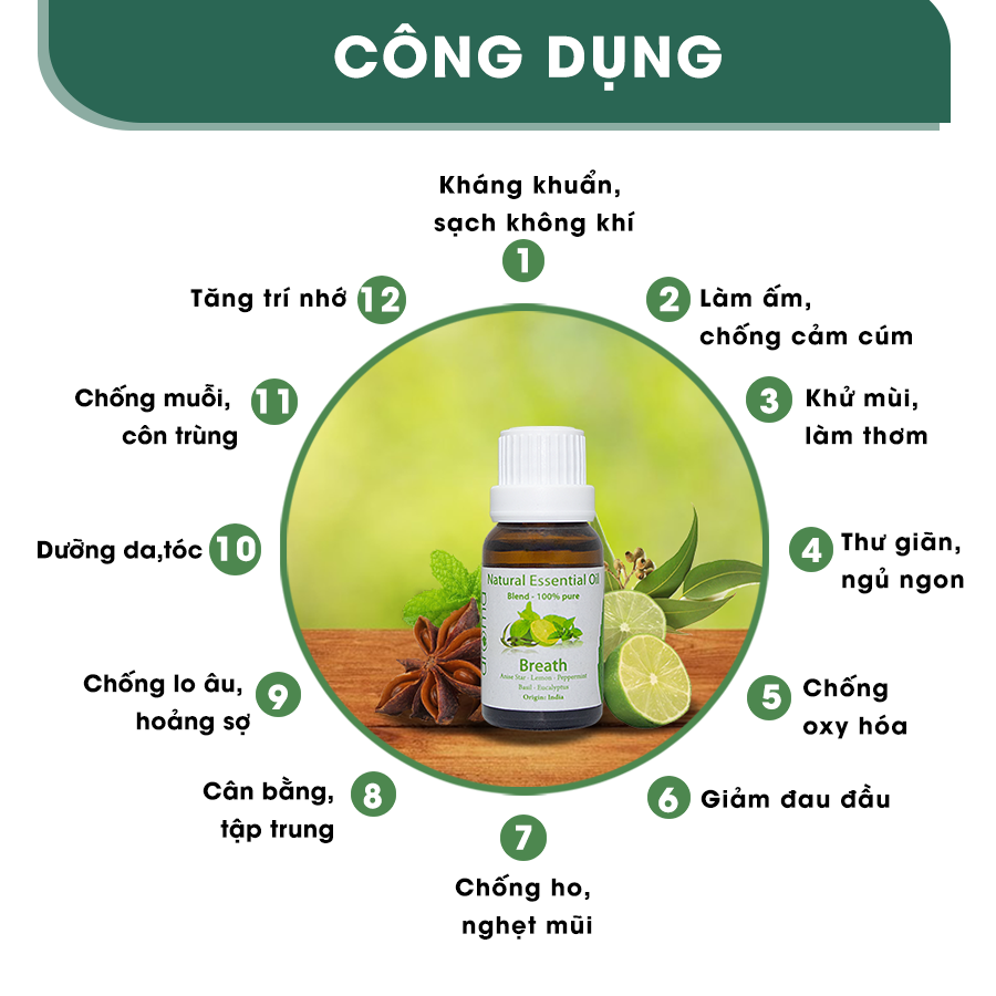 Tinh Dầu Aroma Bạc Hà Khuynh Diệp Breath - 10ml/15ml/30ml/50ml