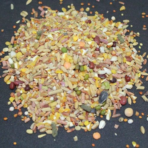 Ngũ cốc cho gà đá túi 1kg
