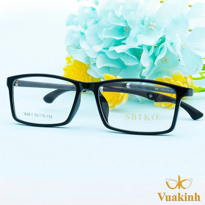 Gọng kính cận thể thao V315