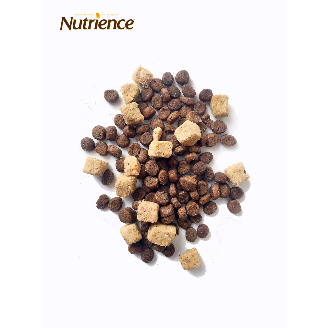 Thức Ăn Hạt Cho Mèo Mọi Lứa tuổi Nutrience Subzero