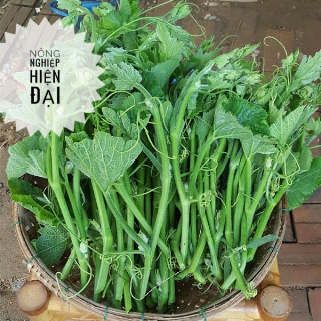 Hạt Giống Bí Siêu Đọt (Ngọn) 20gram