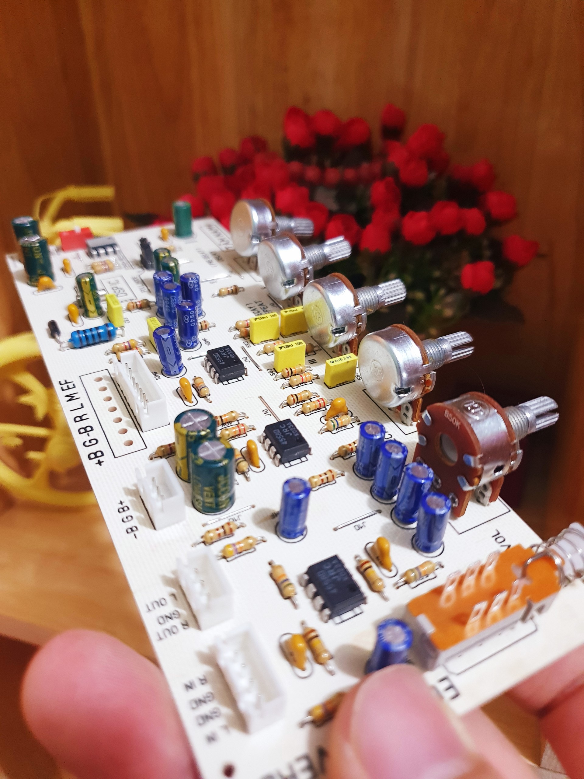 Mạch Echo Reverb DSP Tâm Nam