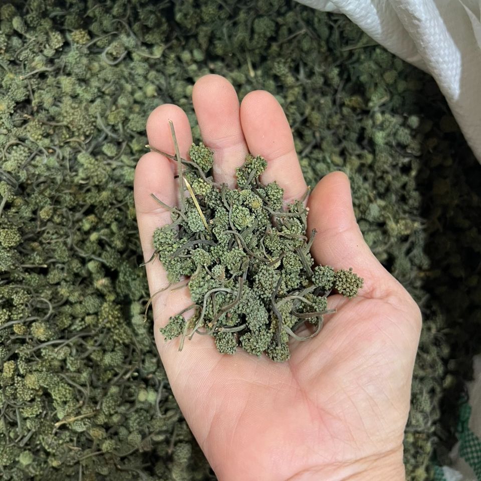 Nụ Hoa Tam Thất Bao Tử (500gr) - Đặc Sản 27