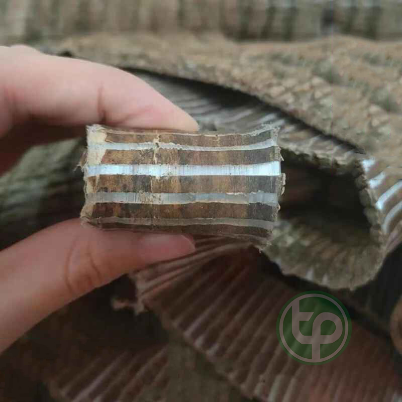 Đỗ trọng khô 1kg - Hàng sạch thơm cao cấp - Thảo Dược Tấn Phát