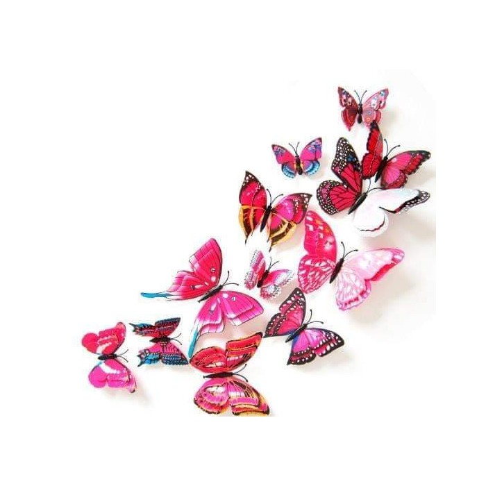 SET 12 bướm 3D gắn tường nhiều màu