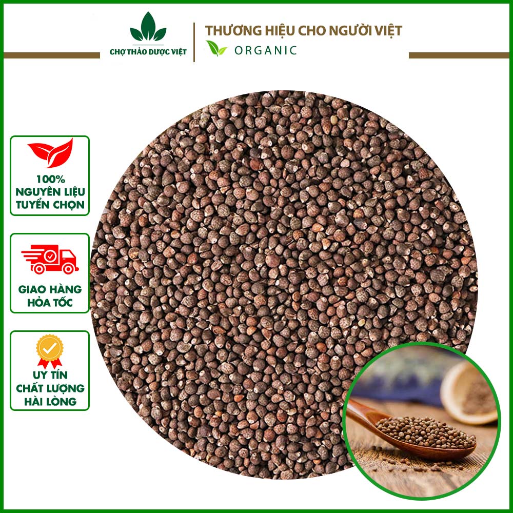 Hạt tía tô khô 100g, tô tử khô, sạch - Chợ thảo dược việt