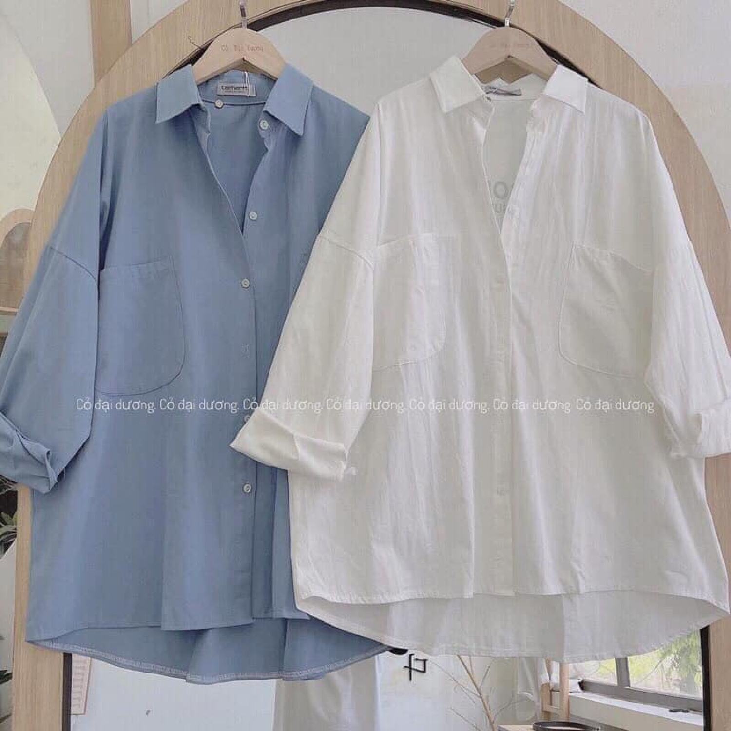 Áo sơ mi in chữ BSOLUTE in lưng
