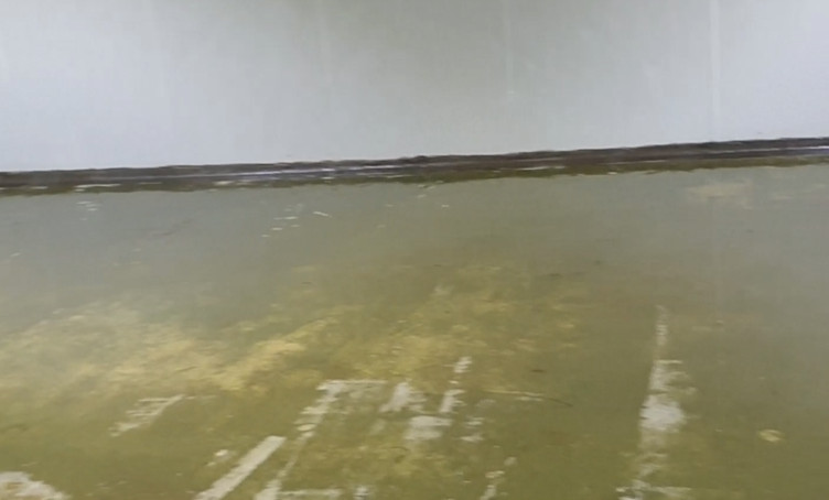 [Hộp 1L] Sơn lót EPOXY, Sơn lót sàn công nghiệp