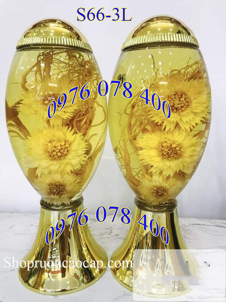 Bình ngâm rượu hàn quốc 3 lít