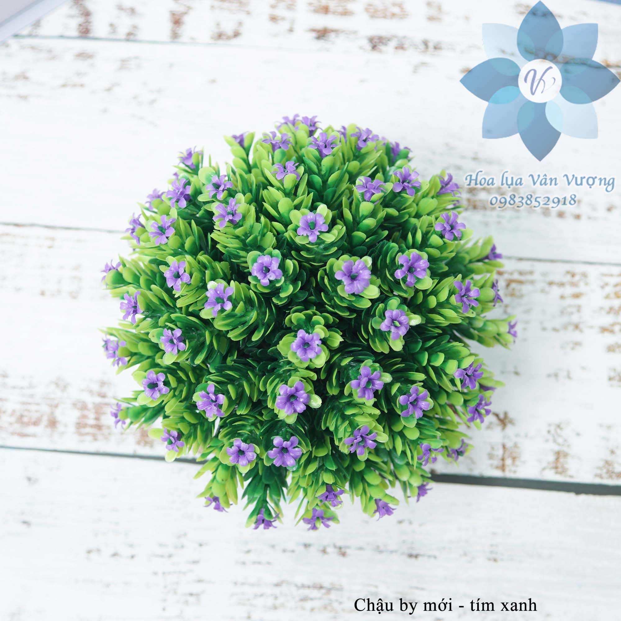 Hoa Lụa Để Bàn, Chậu Hoa Giả Trang Trí Chậu By