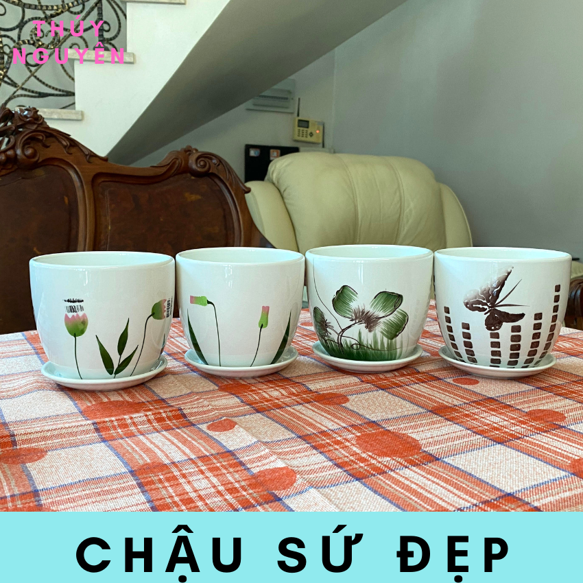 Chậu gốm sứ mini trồng sen đá để bàn
