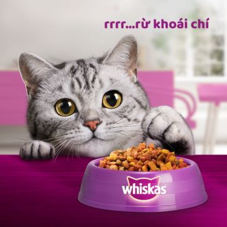 Thức ăn mèo con dạng hạt WHISKAS 1,1KG