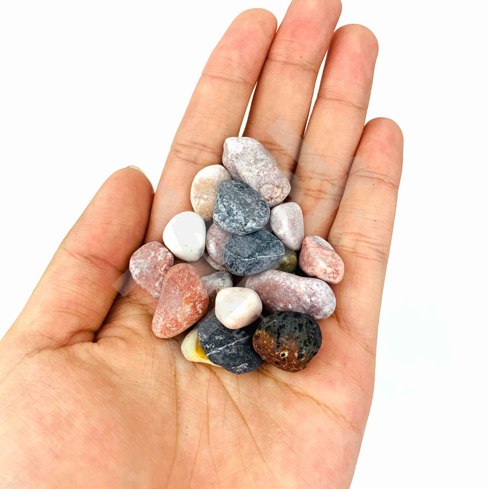 1KG Sỏi 4 Màu Đủ SIZE Trang Trí Sân Vườn, Lót Chậu Cây, Trang Trí Hồ Cá, Bể Cá Thủy Sinh, Hồ 7 Màu, Betta, Terrarium