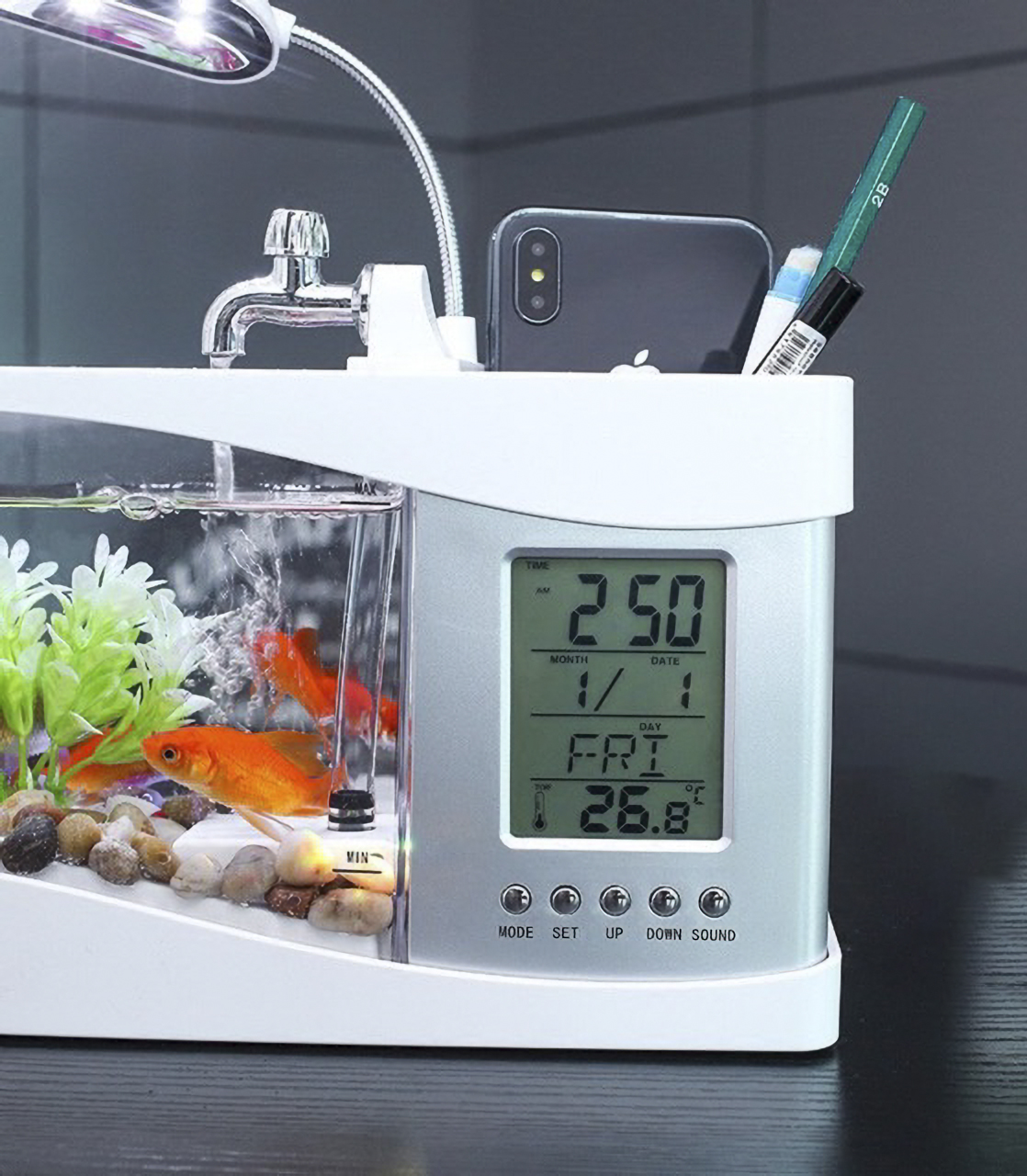 Bể Cá Mini [Đồng Hồ + Đèn Bàn + Sỏi, Cây Thủy Sinh] Bể cá để bàn - Hồ cá