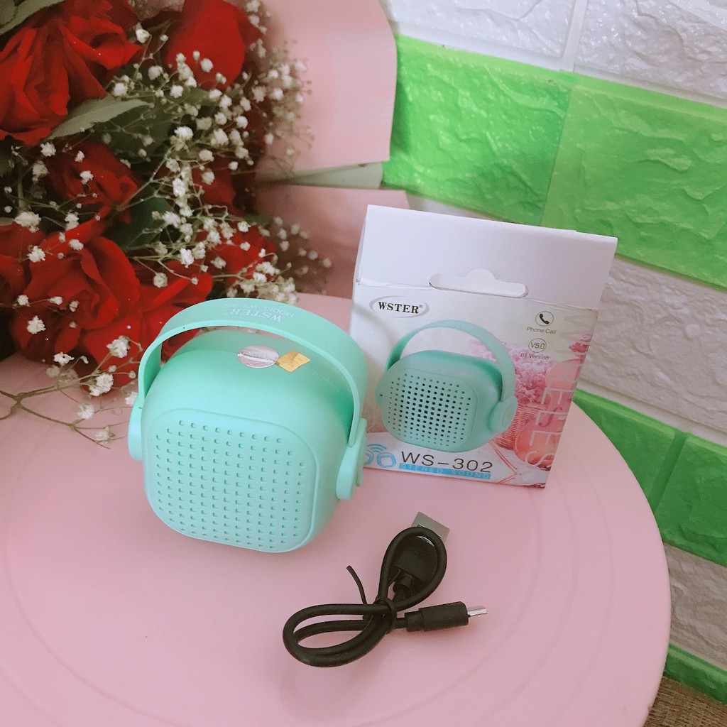 LOA BLUETOOTH WSTER WS 302 ÂM THANH CỰC HAY