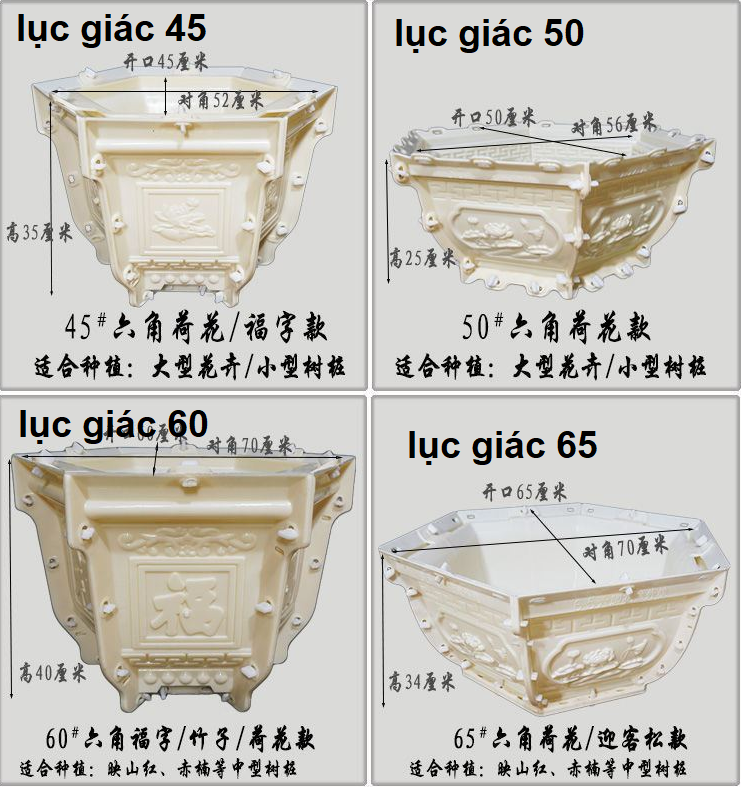 khuôn chậu lục giác 58