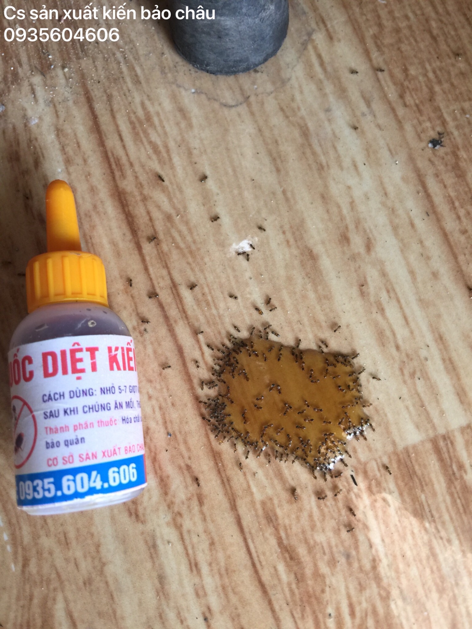 Thuốc diệt kiến sinh học combo 4 chai