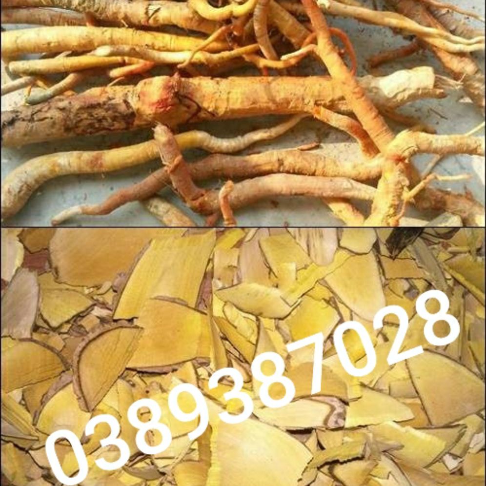Rễ cây mật gấu-cây lá đắng,1kg