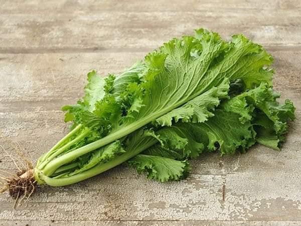 Hạt giống rau cải mù tạp - Gói 5gram
