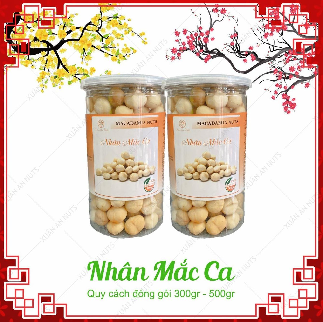Hạt Macca Nứt Vỏ - Hạt VIP Size Lớn Thượng Phẩm (Hộp 500g)