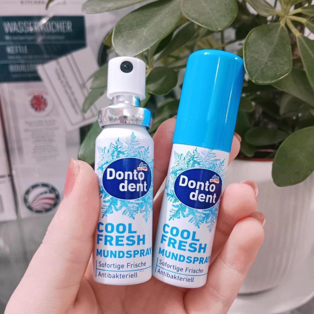 XỊT THƠM MIỆNG DONTODENT MUNDSPRAY COOL FRESH-15ML (ĐỨC)