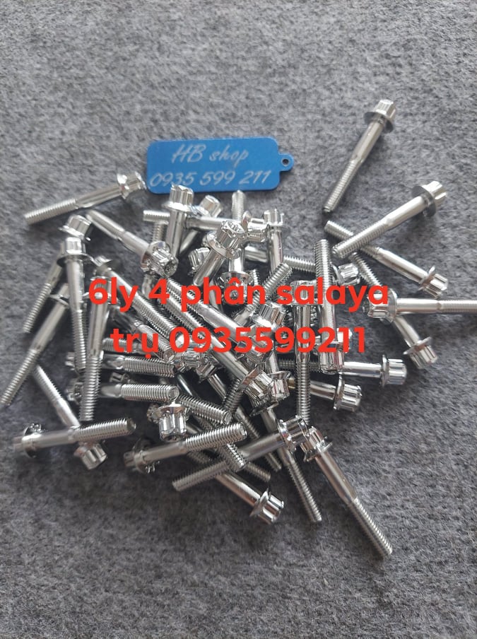 Óc salaya inox 304 đầu trụ 6ly 4 phân
