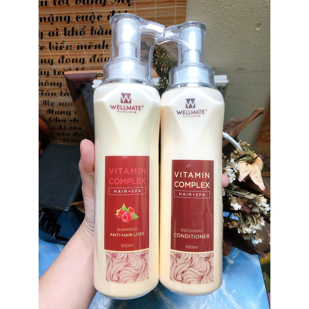 Combo dầu gội xả chống rụng, phục hồi WELLMATE 500ml x 2