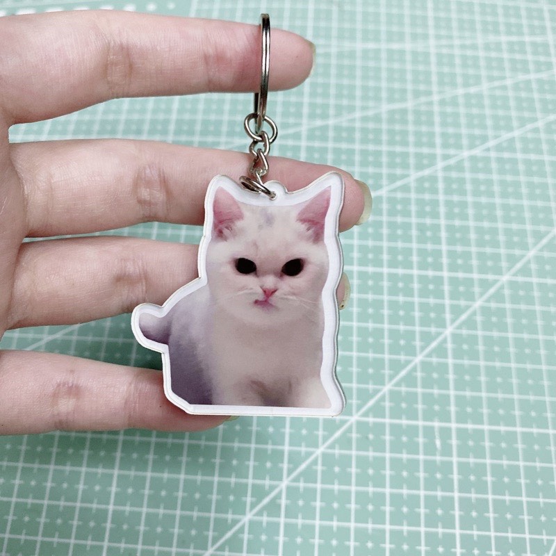 Móc khoá mica mèo meme cute- bựa