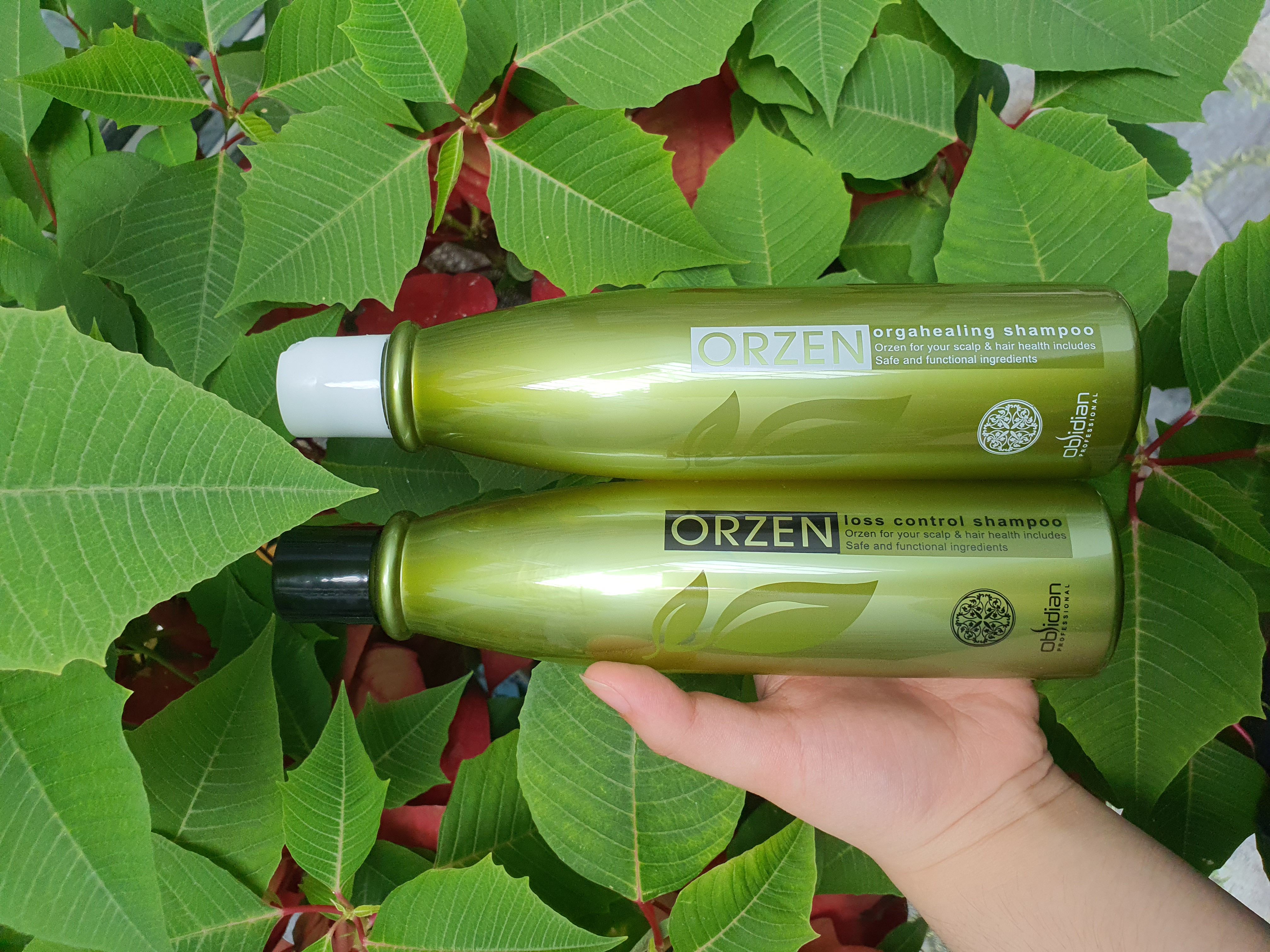 Dầu gội chống rụng mọc tóc Orzen Obsidian 320ml (KOREA)