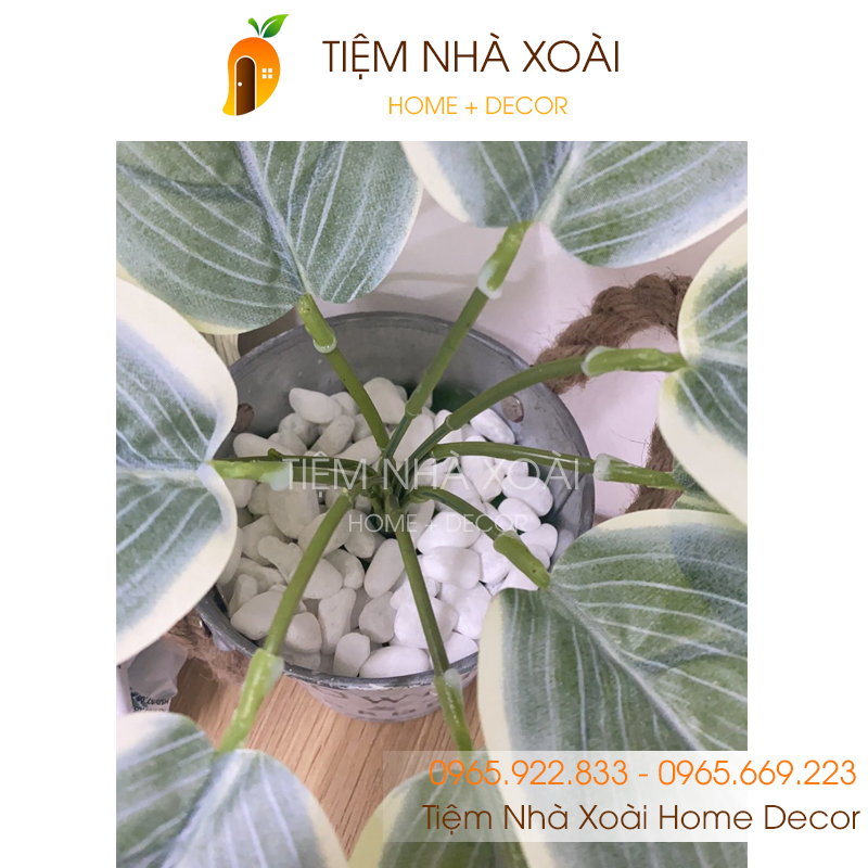 Sỏi Trắng Trang Trí (cỡ trung) chậu cây, lọ hoa, bể cá cảnh