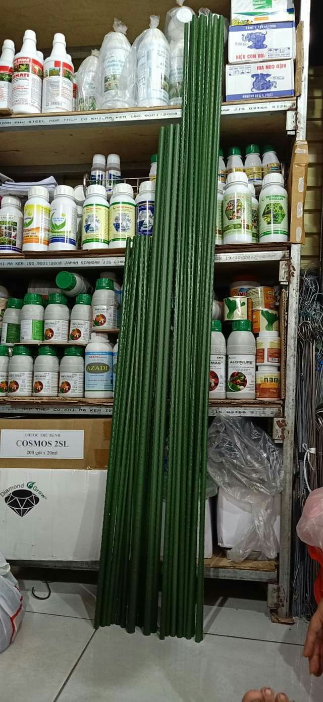 10 Cọc Lõi Thép bọc nhựa: 1m50 phi 11