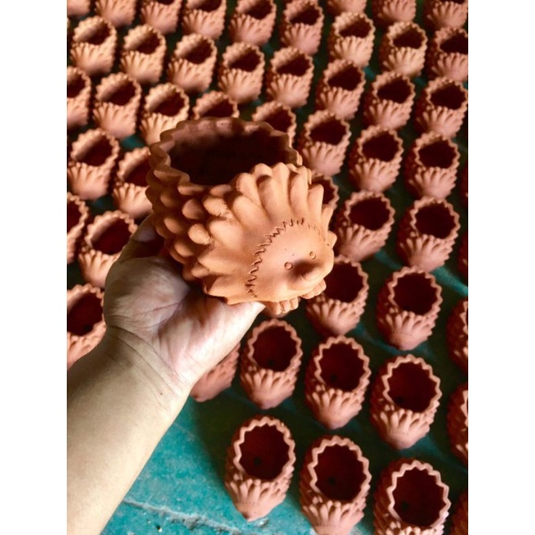 Chậu đất nung hình nhím