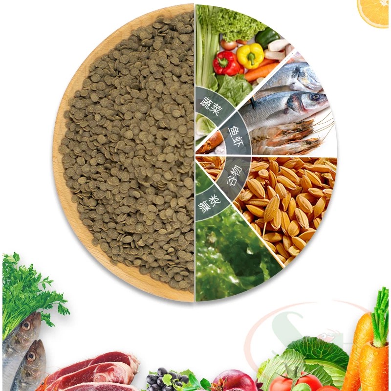Thức ăn cá cảnh Biozym Ratfish cao cấp cho cá Chuột, cá Pleco