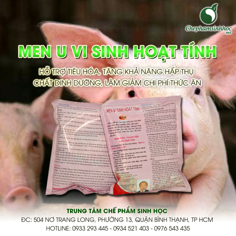Men ủ vi sinh hoạt tính NN1
