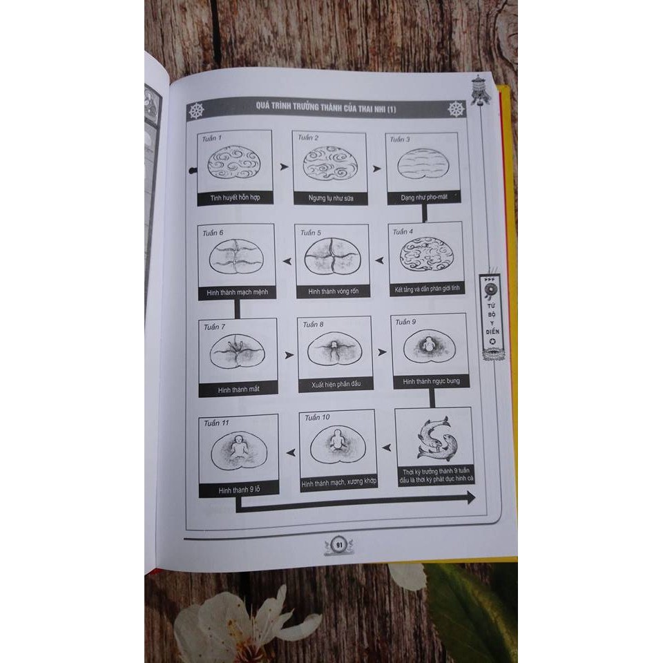 Tứ Bộ Y Điển (Tập 2) - Y Lý Và Dưỡng Sinh