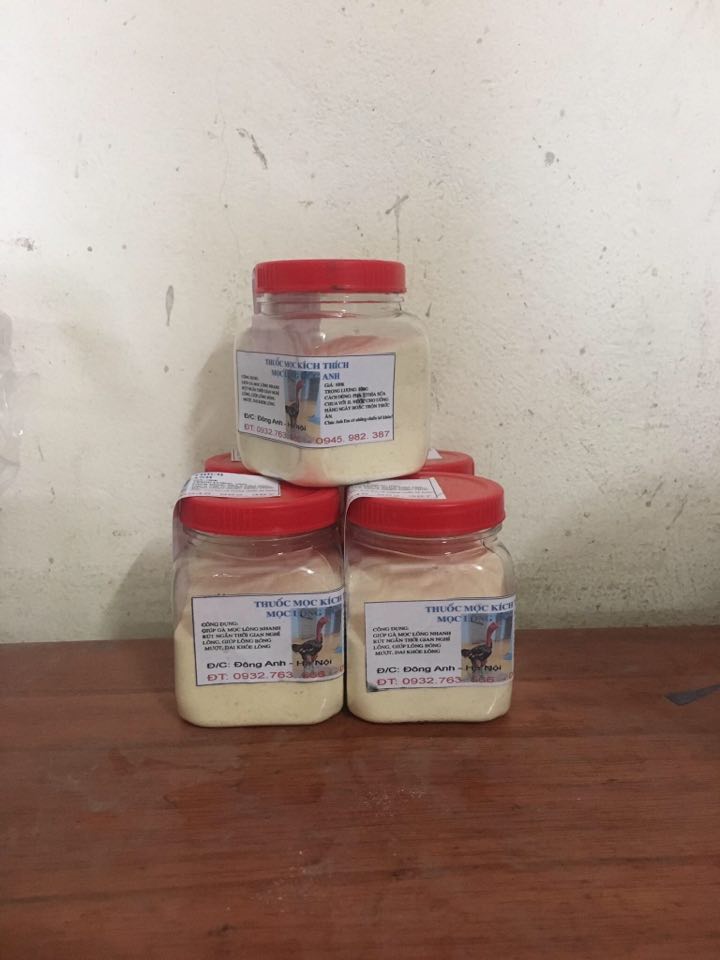 Kích lông gà chọi