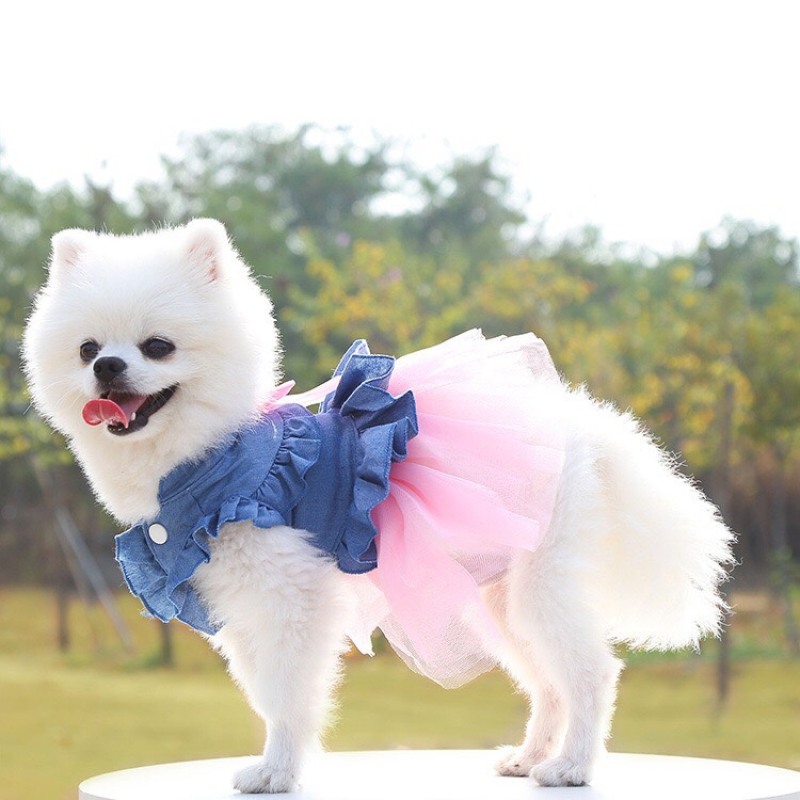 Váy đầm cho chó mèo kiểu dáng công chúa chât liệu vải jean phối ren tiểu thơ sanh chảnh