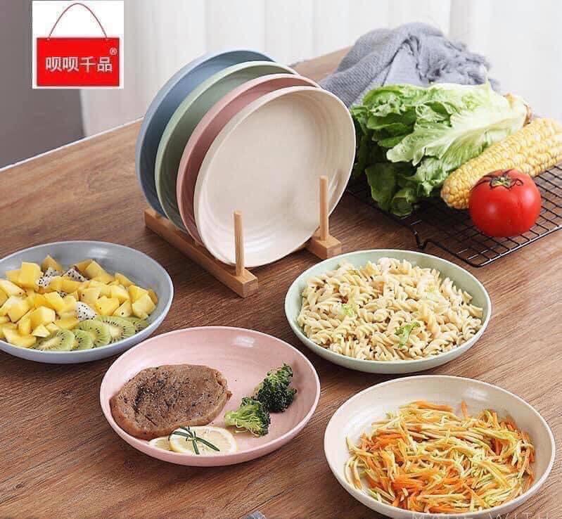 Set đĩa lúa mạch màu siêu xinh