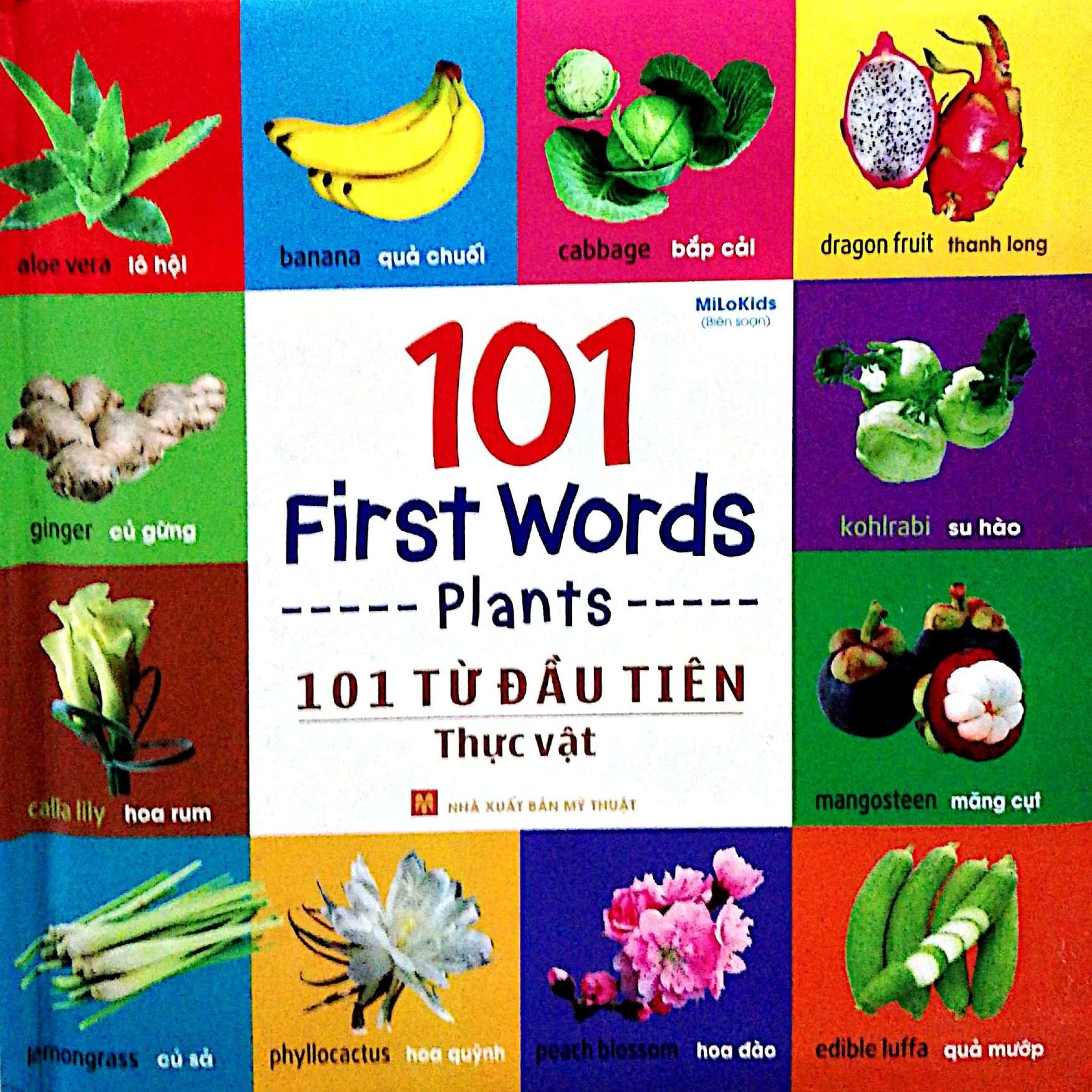 Sách: 101 First Words - Transport / 101 Từ Đầu Tiên ( Tùy Chọn)