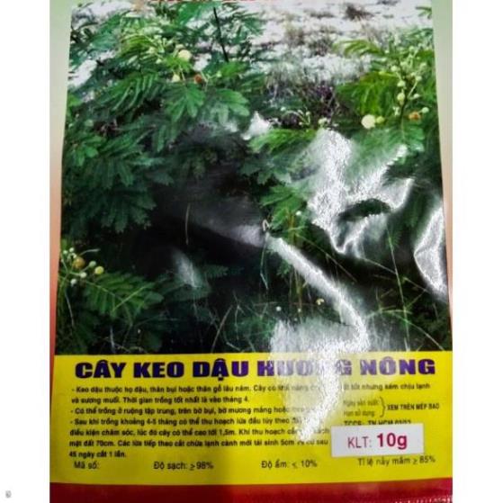 HẠT CÂY KEO DẬU CÂY BÌNH LINH - GÓI 10 GRAM