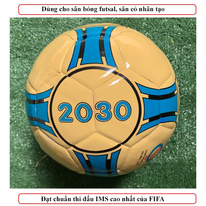Quả bóng đá geru Star Futsal 2030