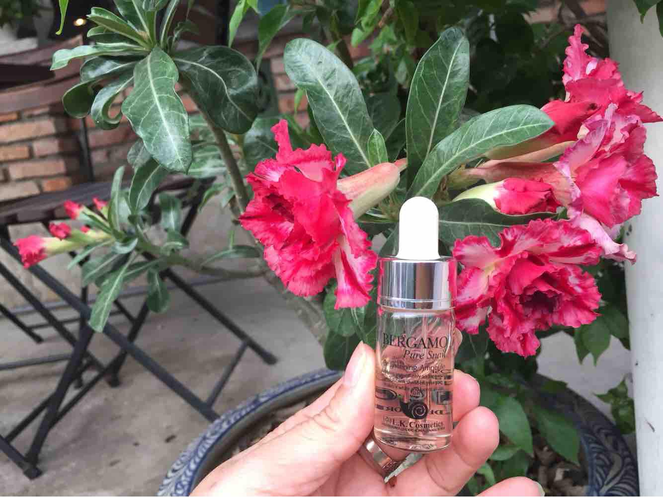 1 chai Serum Hàn Quốc làm đẹp da Bergamo 13 ml